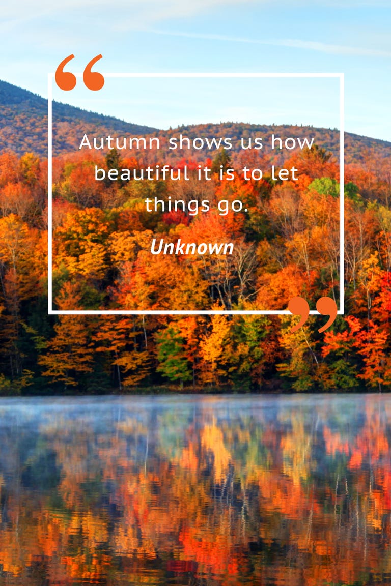 25 Fall Season Quotes Best Sayings About Autumn 25-fall-season-quotes-best-sayings-about-autumn