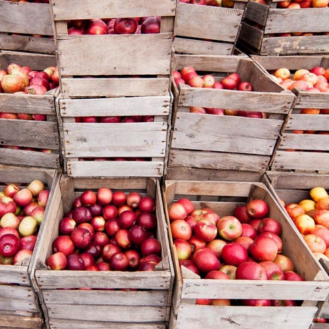 farms orchards aamodt