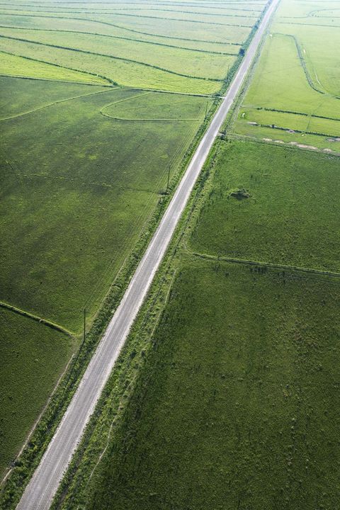Green, Aerial photography, Field, Grass, Plain, Grassland, Bird's-eye view, Land lot, Road, Line, 