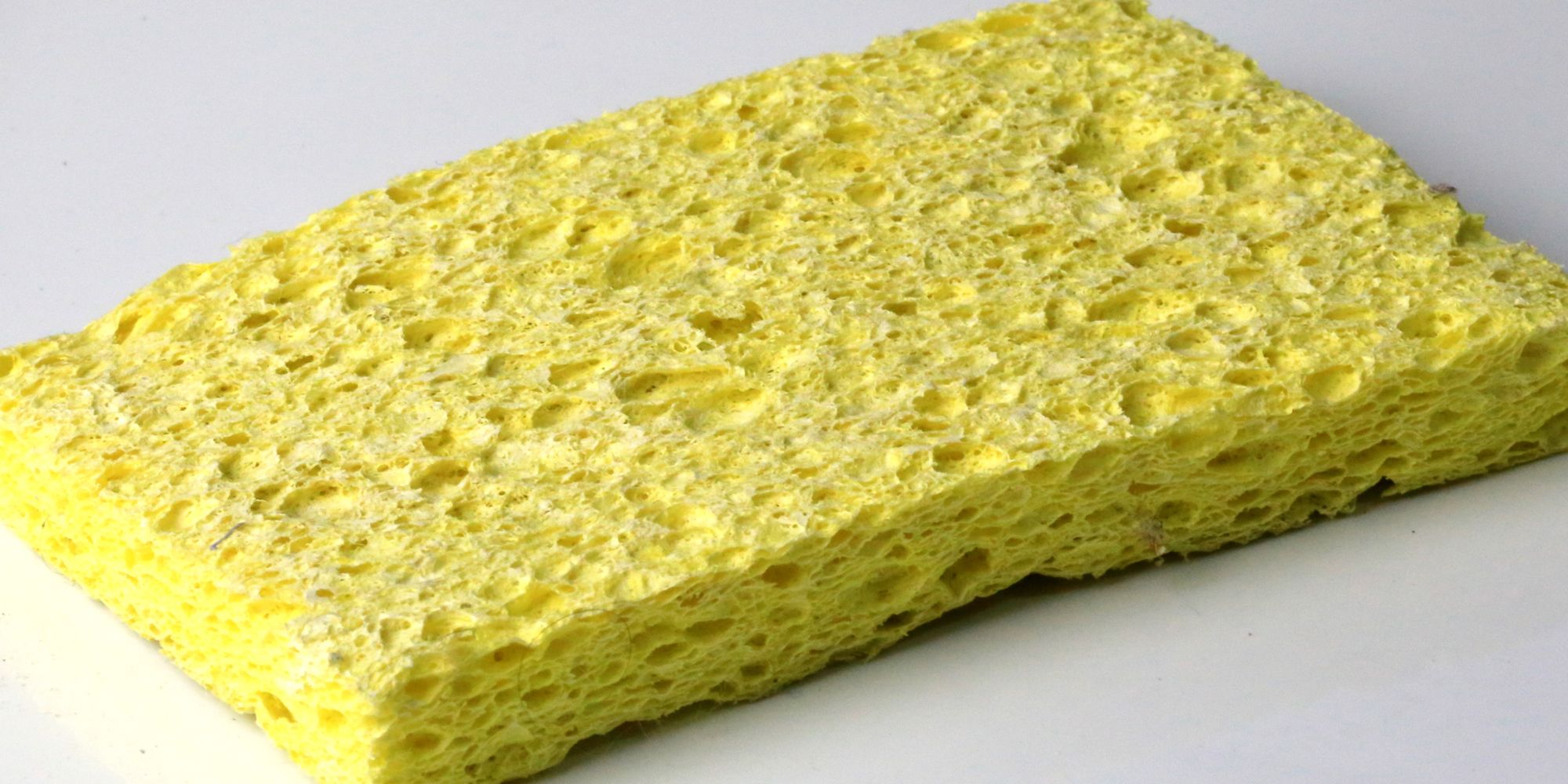 Kitchen Sponge Is Gross and Microwaving 
