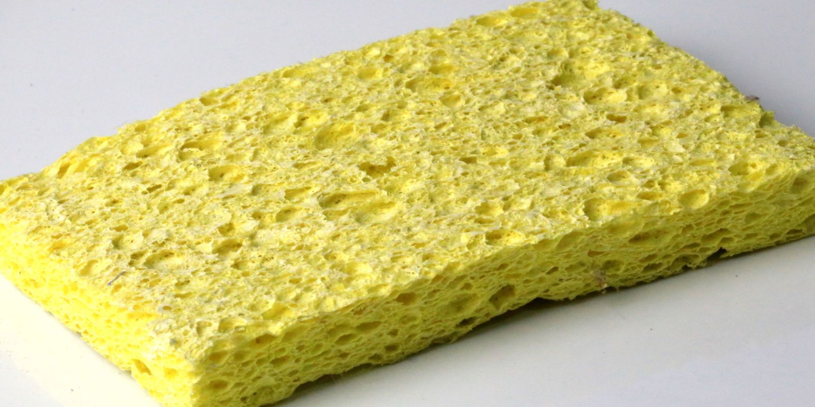 Microwave sponge outlet myth