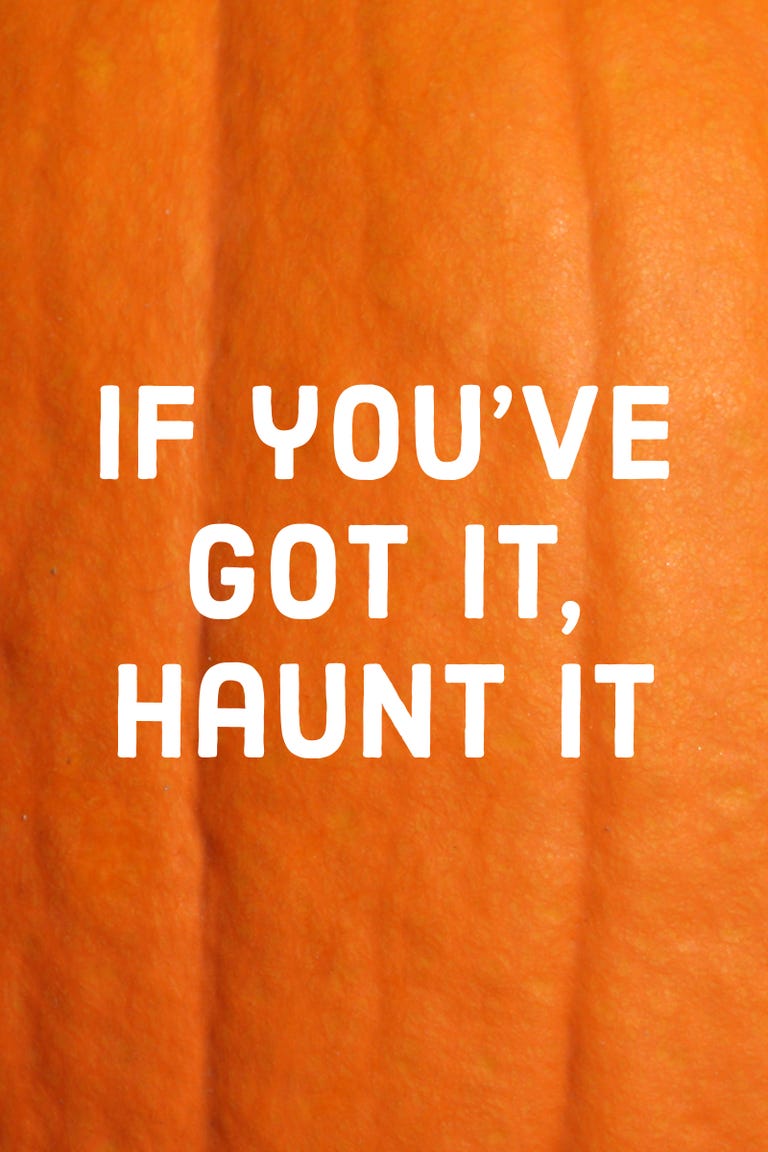10 Best Pumpkin Quotes Funny Pumpkin Puns And Expressions For Halloween 10-best-pumpkin-quotes-funny-pumpkin-puns-and-expressions-for-halloween