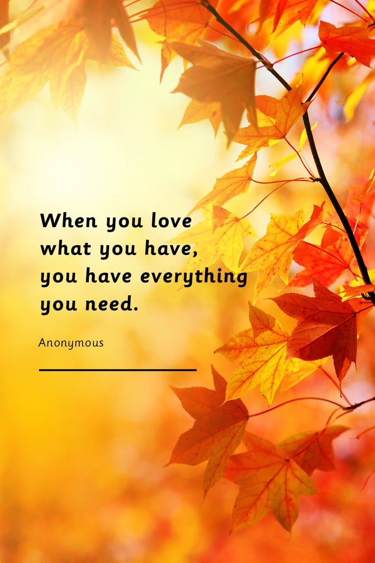 25 Best Thanksgiving Day Quotes - Happy Thanksgiving Toast Ideas