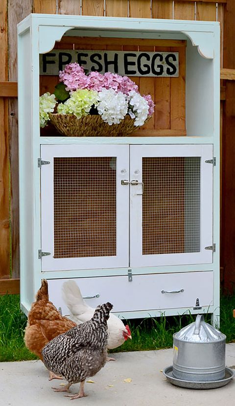 Porch, Home, Chicken coop, Room, Window, House, Flowerpot, Hydrangea, Plant, Galliformes, 