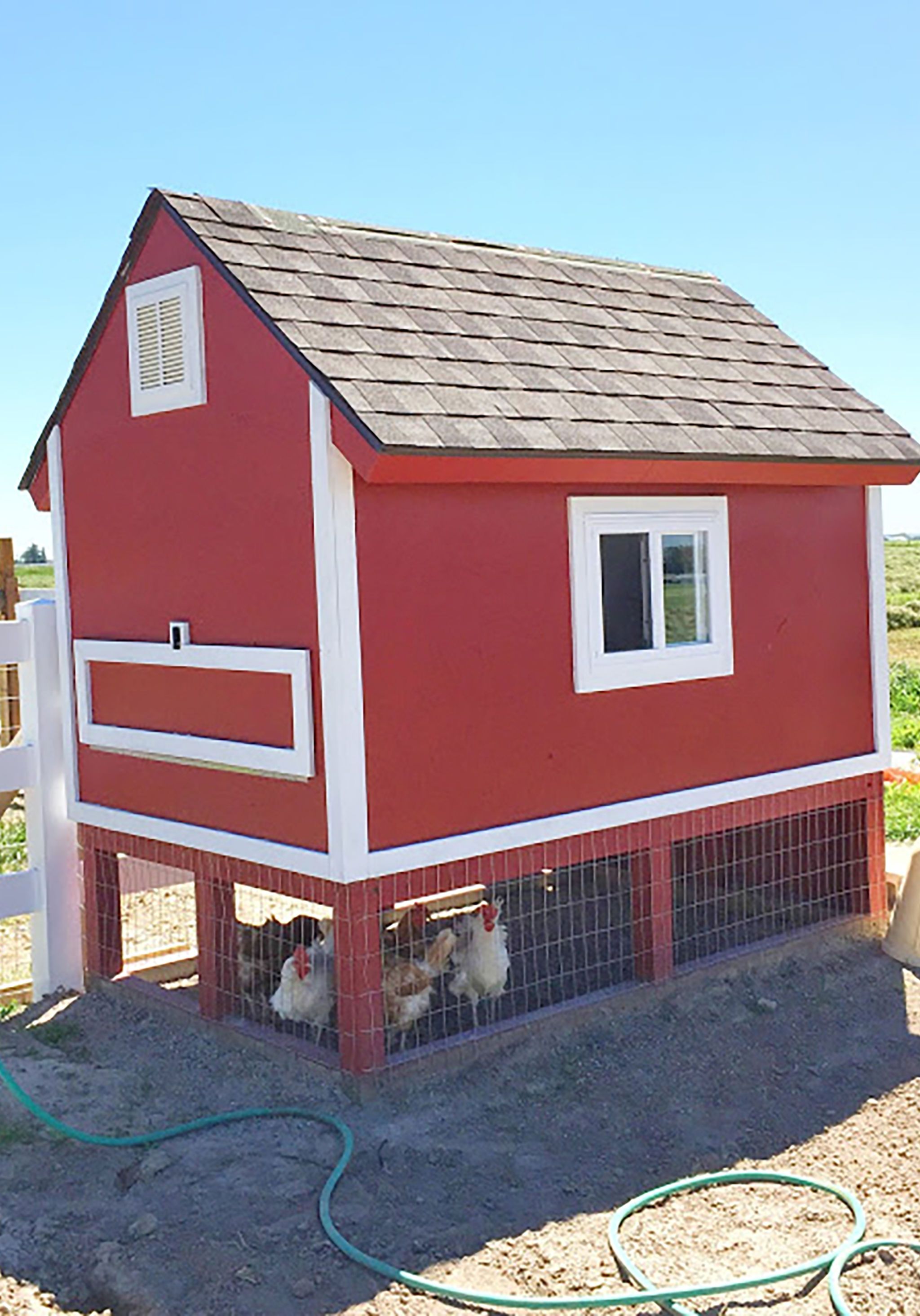 chicken coop decorating        
        <figure class=