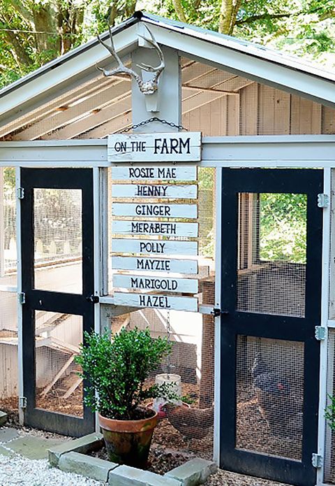 Wood, Flowerpot, Hardwood, Fixture, Nature reserve, Houseplant, Shade, Door, Home door, Annual plant, 