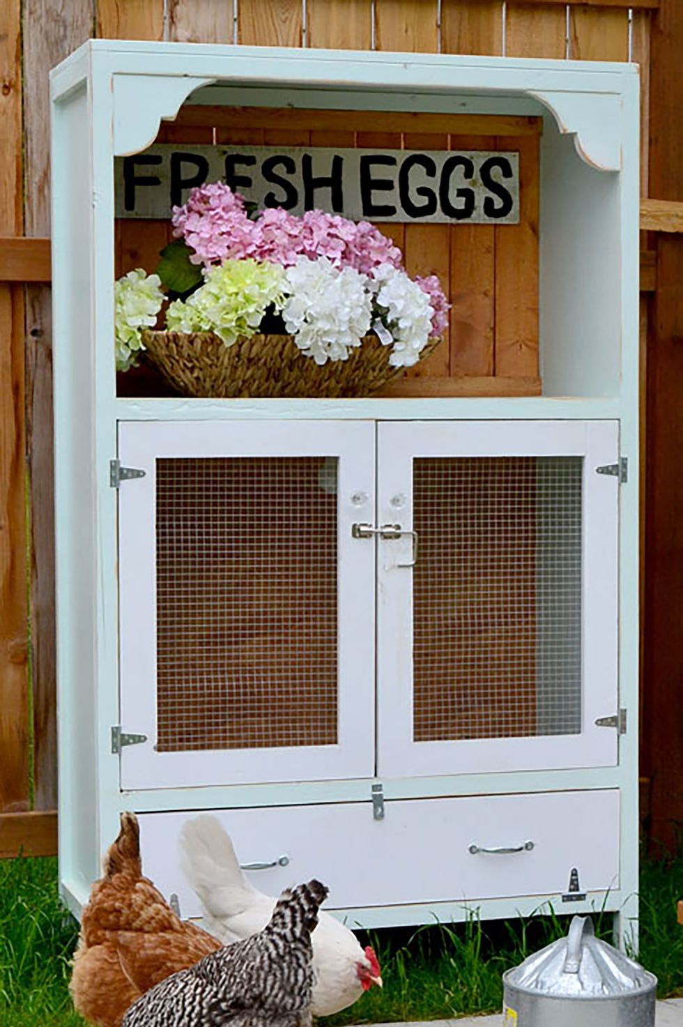 porch, home, chicken coop, room, window, house, flowerpot, hydrangea, plant, galliformes,