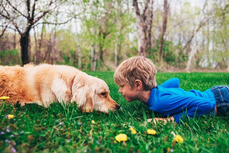 Country Western Male Dog Names Country Western Male Dog Names