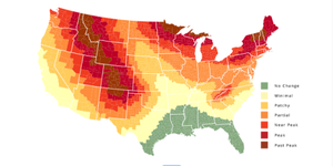 Fall Foliage Map Predicts When Leaves Will Change