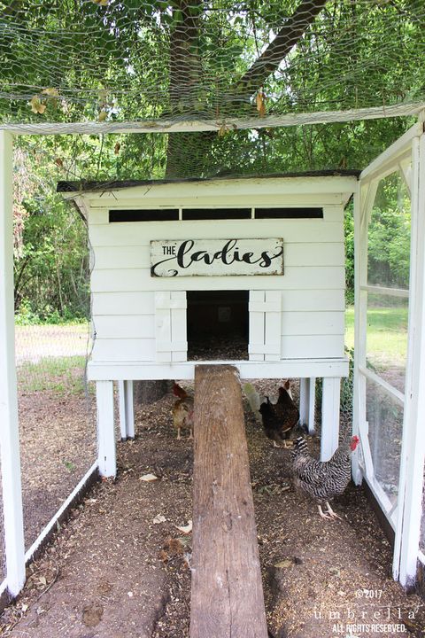 House, Tree, State park, Room, Table, Home, Furniture, Building, Shed, 