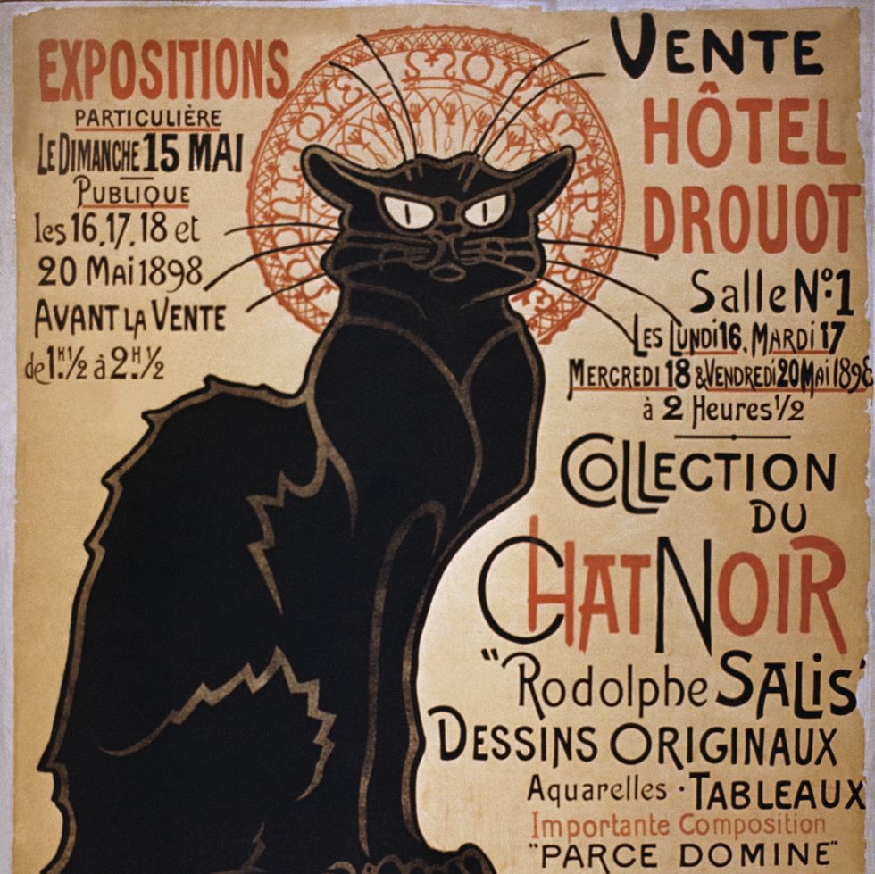 Black cat, Poster, Cat, Felidae, Small to medium-sized cats, Tail, Illustration, 