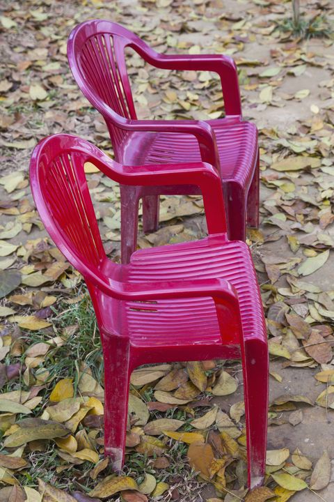 Pink, Chair, Furniture, Red, Magenta, Grass family, Plastic, Plant, Wood, 