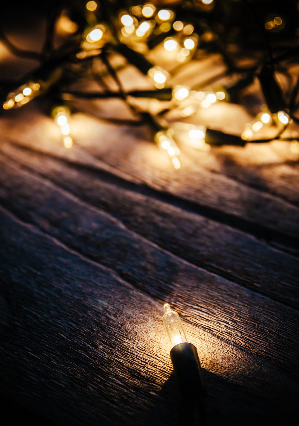 Light, Lighting, Sky, Night, Street light, Tree, Water, Darkness, Branch, Atmosphere, 