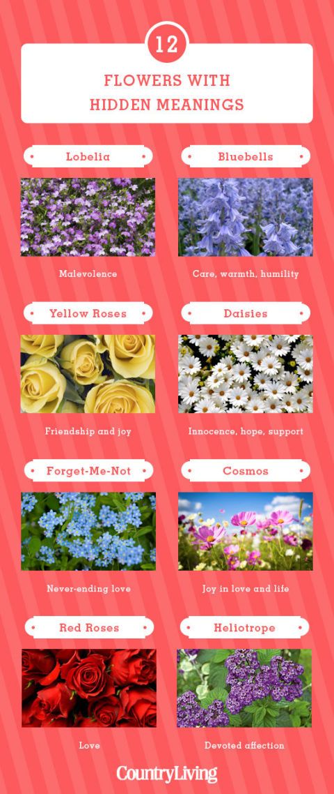 flower types and meanings