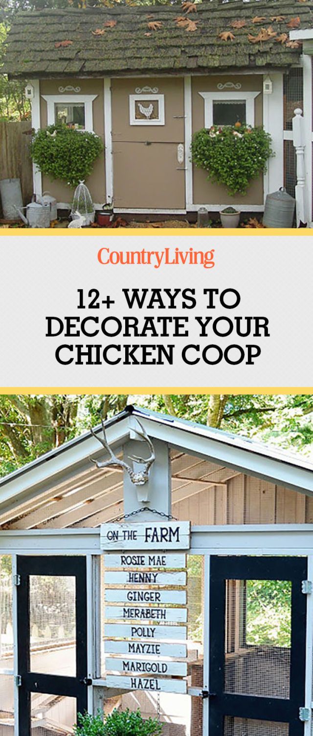 Chicken Coop Decorating Ideas Chicken Coop Plans   Chicken Coop Decor 