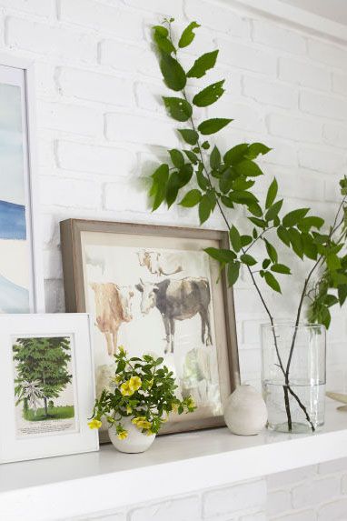 White, Flowerpot, Houseplant, Shelf, Wall, Plant, Room, Leaf, Flower, Botany, 