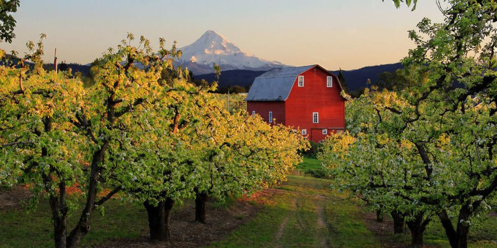 19 Best Small Towns in Oregon - Cute Oregon Small Towns to Live In or Visit