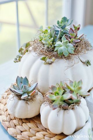 Pumpkin Planters For Your Porch How To Make Pumpkin Planters