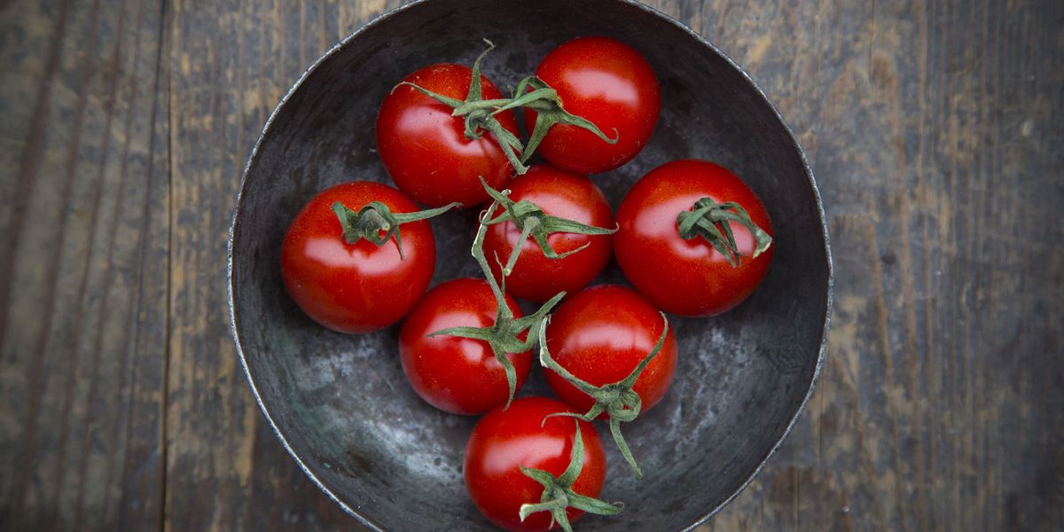 Can Dogs Eat Tomatoes? - Are Tomatoes Good or Bad for Dogs to Have?