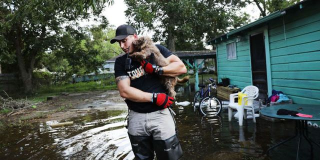 Pet Supplies & Gifts for Houston Homeless Animals at CAP