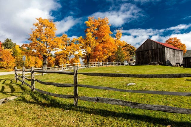 Sky, Natural landscape, Nature, Tree, Leaf, Autumn, Pasture, Farm, Grass, Natural environment, 