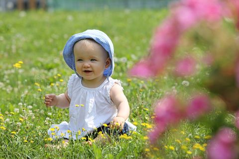 Child, People in nature, Grass, People, Toddler, Meadow, Spring, Skin, Flower, Happy, 