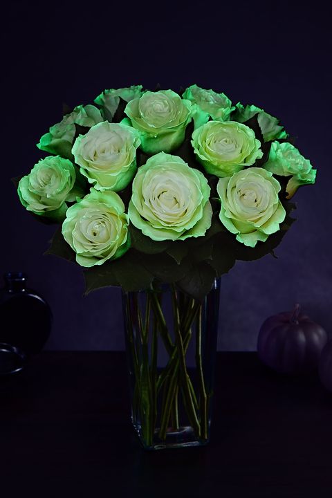 Flower, Cut flowers, Garden roses, Green, Rose, Plant, Bouquet, Rose family, Plant stem, Floristry, 