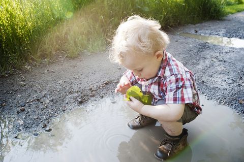 Water, Child, Toddler, Play, Fun, Grass, Puddle, Summer, Photography, Vacation, 