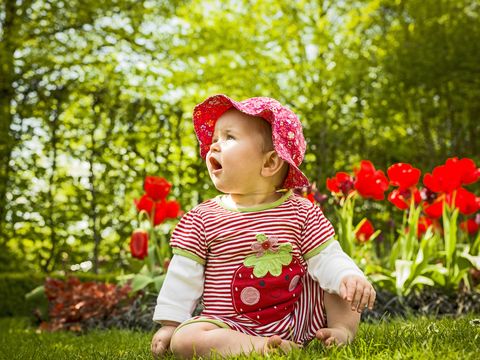 People in nature, Red, Child, Grass, Green, Spring, Toddler, Flower, Tulip, Botany, 