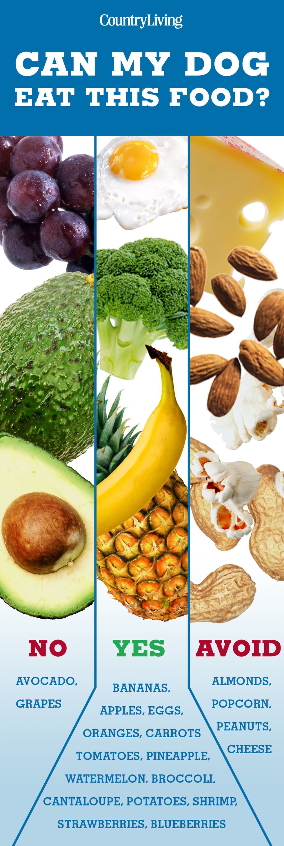 Natural foods, Food, Superfood, Food group, Vegan nutrition, Vegetarian food, Produce, Ingredient, Fruit, Plant, 