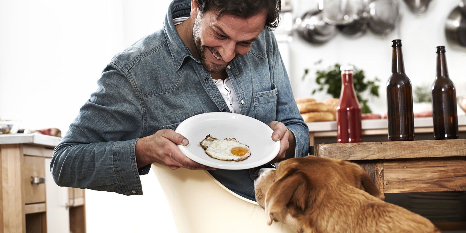 Do dogs cheap eat eggs