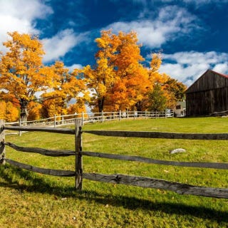 country quotes