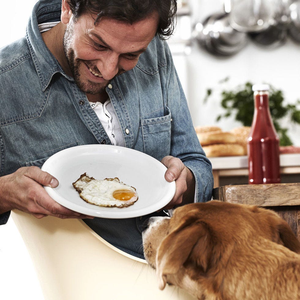 Are Raw Eggs Good For Dogs Coat