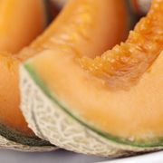 Melon, Cantaloupe, Galia, Muskmelon, Food, Fruit, Honeydew, Cucumis, Cucumber, gourd, and melon family, Winter squash, 