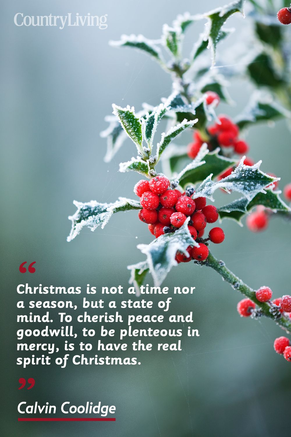 20 Merry Christmas Quotes - Inspirational Holiday Sayings