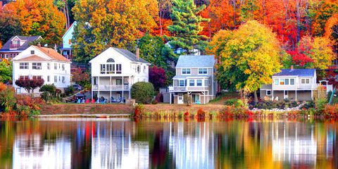 Reflection, Nature, Tree, Home, Leaf, Autumn, Property, Natural landscape, House, Waterway, 
