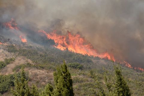 Northern California Fires - 12 Horrific Photos Of The Wild Fire In Napa 