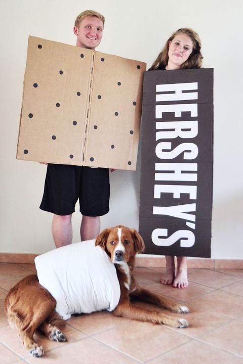 matching family costume with dog