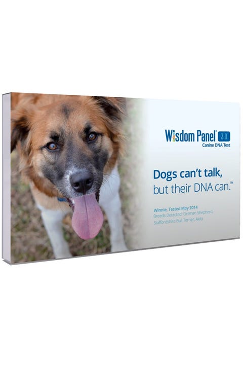 30 best gifts for dog lovers 2018 unique dog owner gift ideas