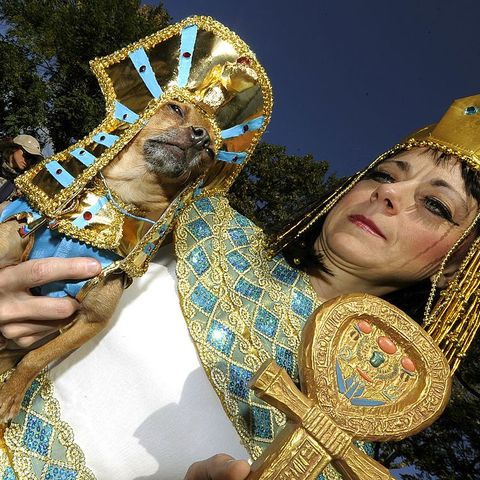 woman and dog dressed as cleopatra