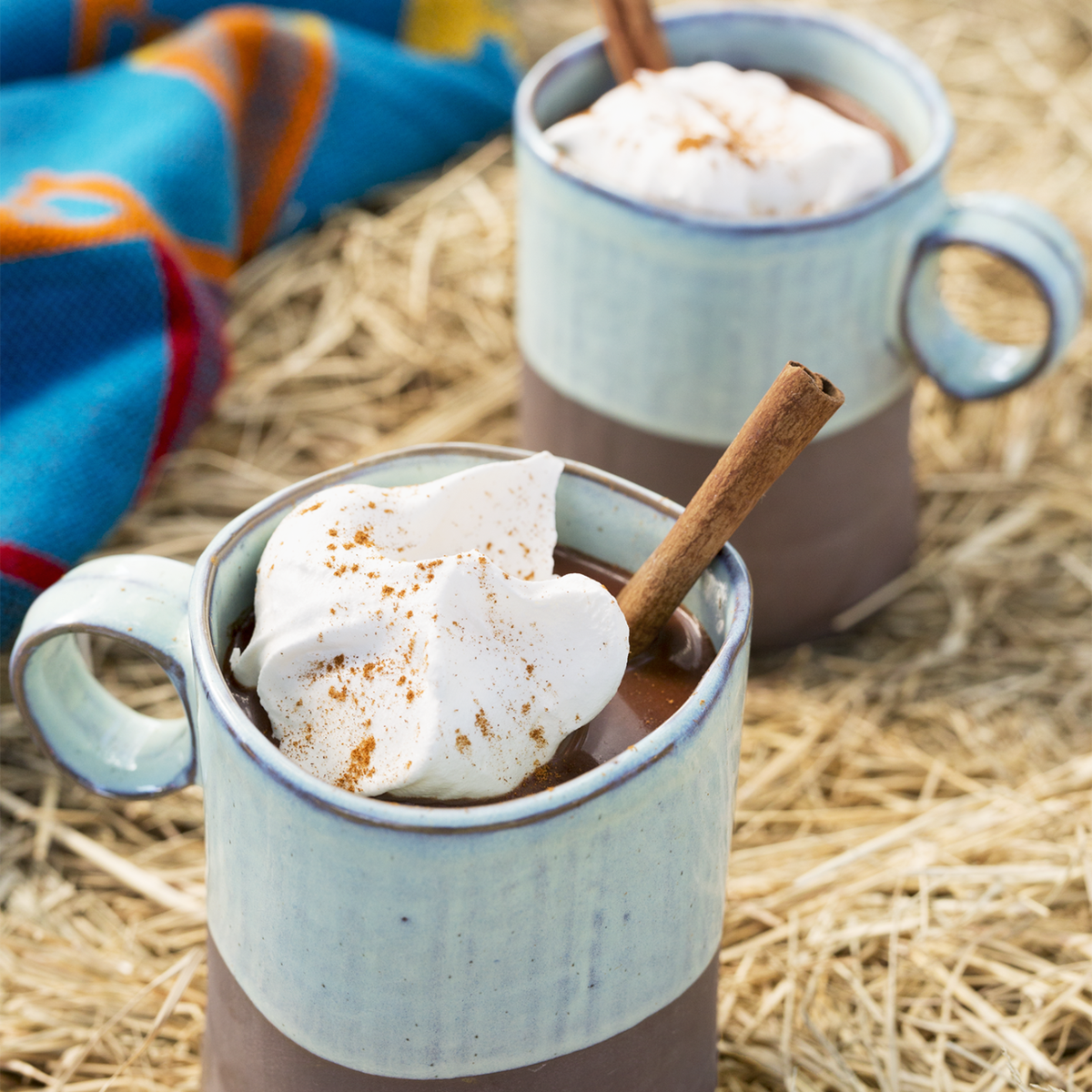 Spicy Mexican Hot Chocolate