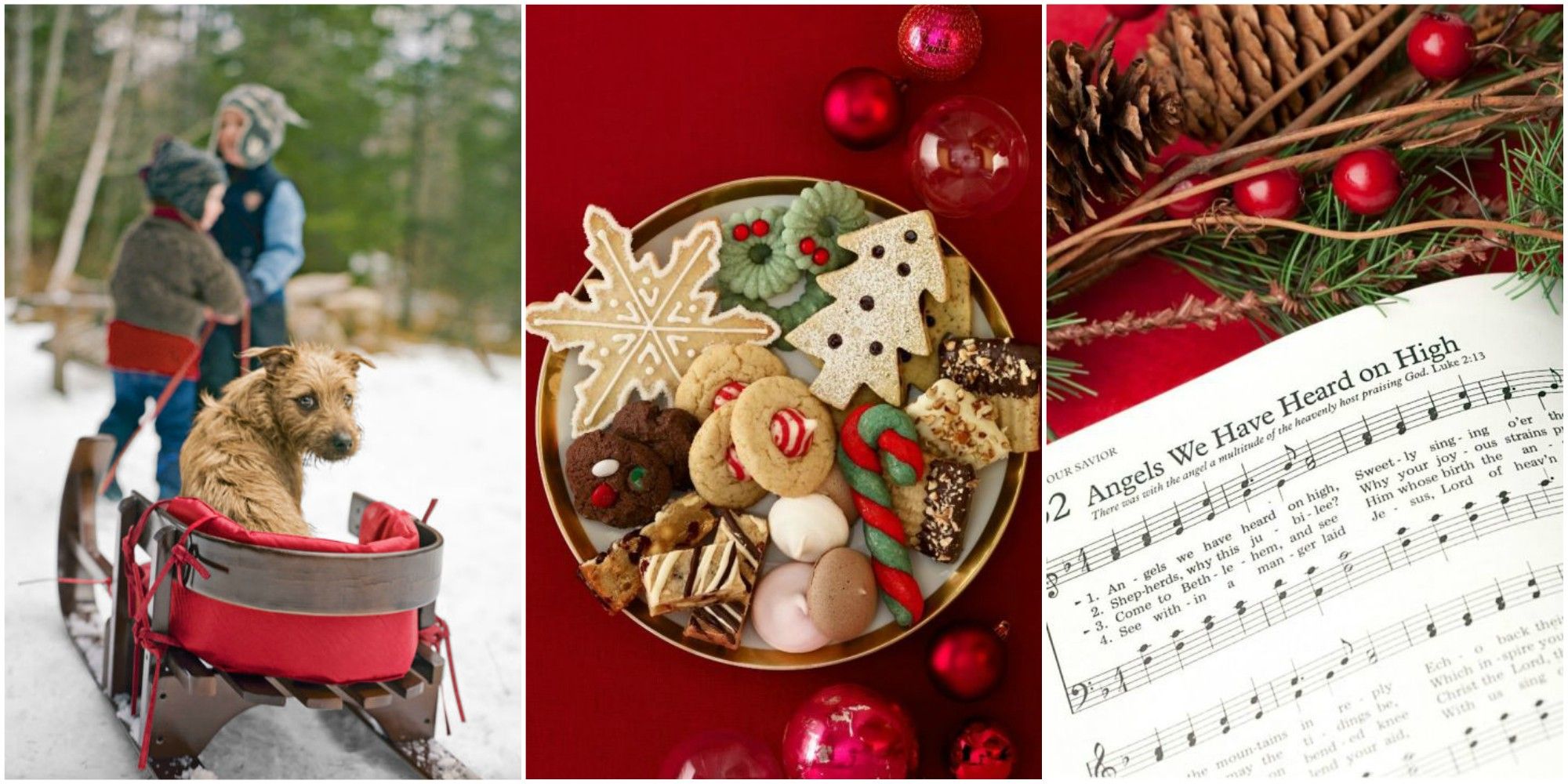 Ideas For A Christmas Party Part - 36: 12 Fun Family Christmas Party Ideas - Holiday Party Food And Decor Tips Ideas For A Christmas Party Part - 36: 12 Fun Family Christmas Party Ideas - Holiday Party Food And Decor Tips
