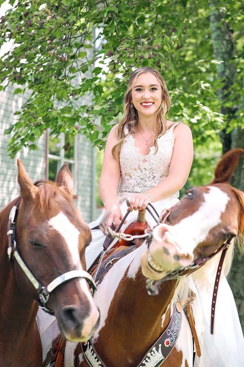 Bride's Horse Upstages Her in Wedding Photos