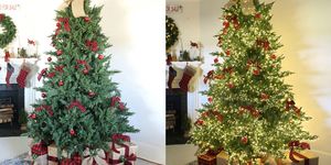 Christmas decoration, Christmas tree, Colorado spruce, Tree, oregon pine, Christmas, Plant, Christmas ornament, Houseplant, Flower, 