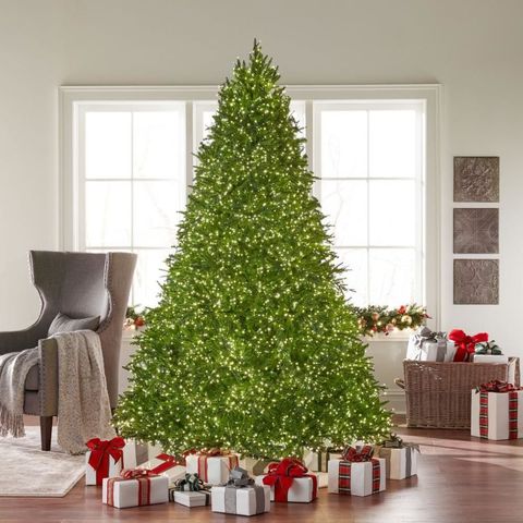 Martha Living Christmas Trees