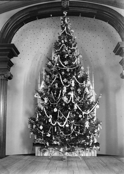 History Of the Christmas Tree - Where Did the Christmas Tree Tradition ...