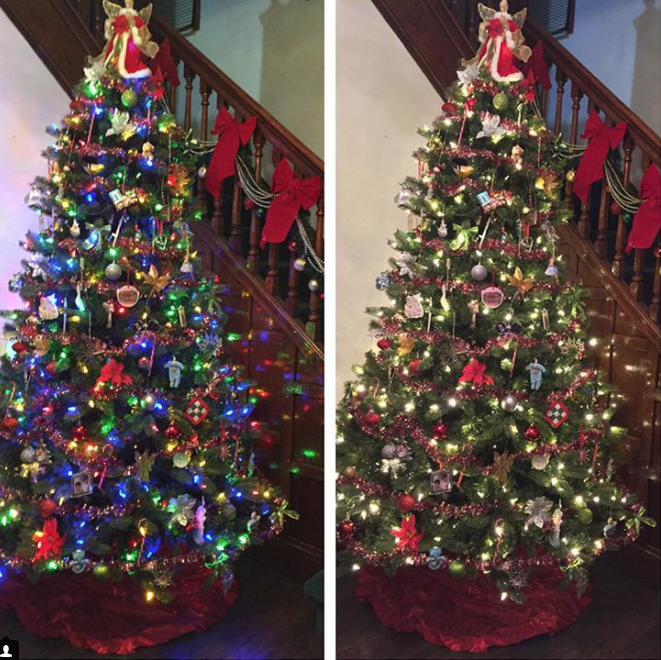 colored christmas tree lights