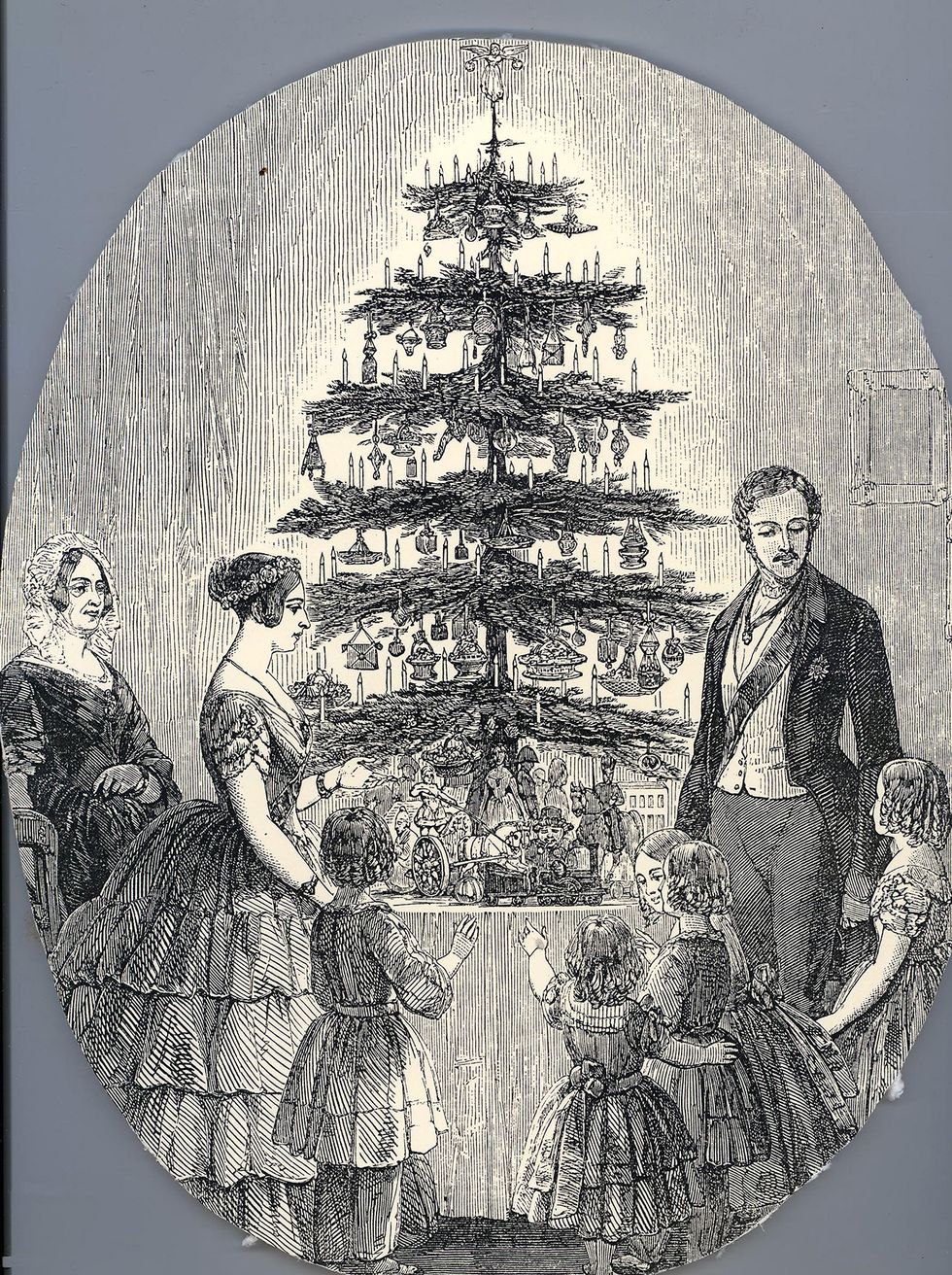 Tree, Illustration, Christmas tree, Pine family, Plant, Circle, 