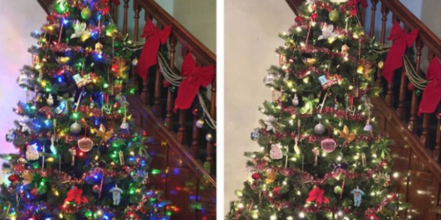 colored christmas tree lights