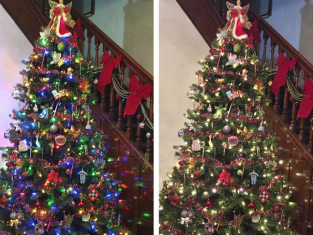 Arguing christmas 2025 tree lights